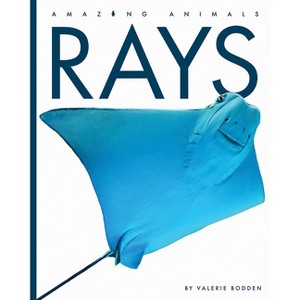 Rays - (Amazing Animals) by  Valerie Bodden (Paperback) - 1 of 1