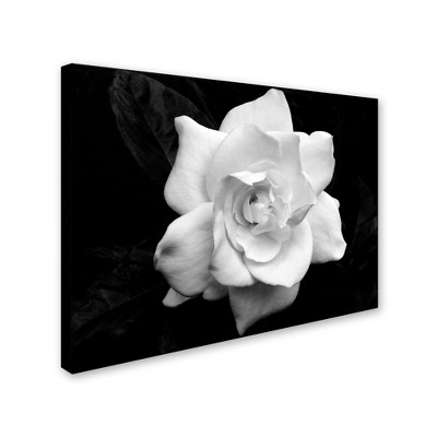 Trademark Fine Art - Richard Wallich 'Chicago 3' Canvas Art