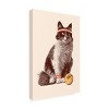 Canvas Wall Art - Florent Bodart  'Chat Tennis' Wall Art for Living Room, Bedroom, or Office Décor by Trademark Fine Art - 2 of 4