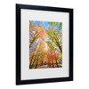 Trademark Fine Art - Beata Czyzowska Young Autumn View Matted Framed Art - 3 of 4