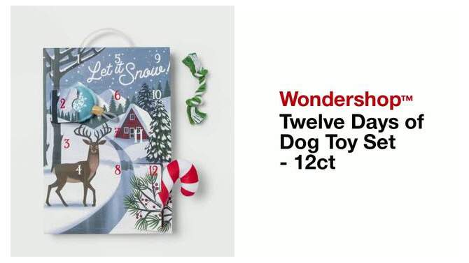 Twelve Days of Dog Toy Set - 12ct - Wondershop&#8482;, 2 of 7, play video