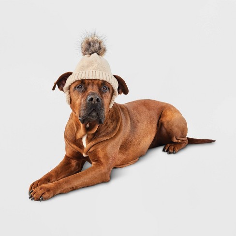 Stocking Dog Hat - L/xl - Boots & Barkley™ : Target