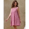 INSPIRE CHIC Women's Gingham Mesh Sleeveless Scoop Neck Lined Swing Tiered A-Line Mini Dresses - 4 of 4