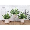 Attop 3 Pack Mini Potted Fake Plants Artificial Plastic Eucalyptus Plants Centerpieces for Table Home Office Desk Accessories Decor - 4 of 4