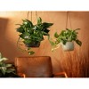 LiveTrends Lost City Ceramic Indoor Novelty Planter Metallic Pewter 6.5"x6.5"x22.5" - 3 of 3