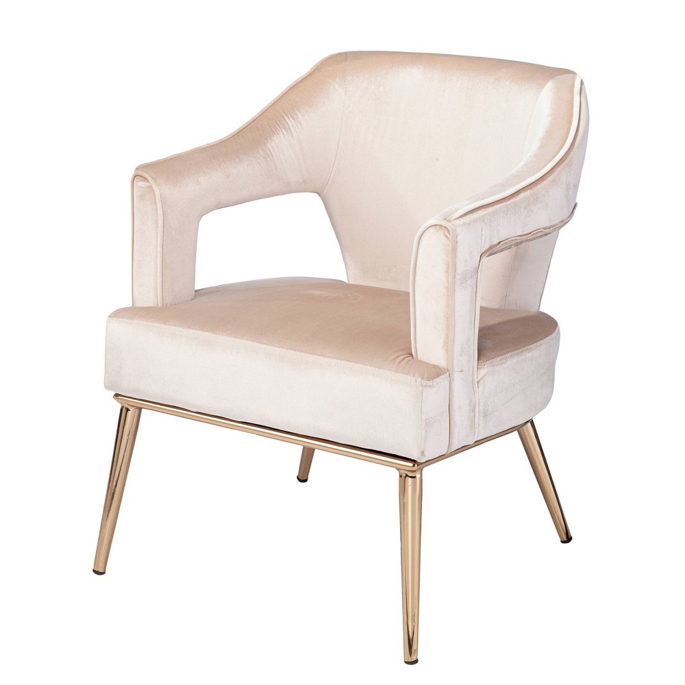 Photos - Chair Ganex Upholstered Accent  Taupe/Champagne - Aiden Lane