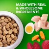 IAMS Healthy Aging Chicken Flavor Large Breed Senior Dry Dog Food - 3 of 4