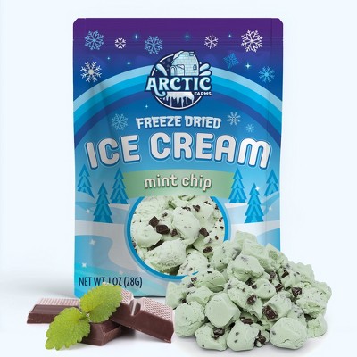 Arctic Farms Freeze Dried Ice Cream That Does Not Melt (Bits) (Mint Chip)