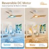 52 inch Solid Wood Ceiling Fan with Lights and Remote Low Profile Outdoor Indoor Modern 3 Blade Ceiling Fan for Living Room Bedroom Farmhouse Patio - 3 of 4