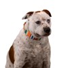 Country Brook Petz 1 1/2 Inch Martingale Dog Collar Country and Western Collection - 4 of 4