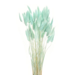 Unique Bargains Natural Dried Floral Bunny Tail Artificial Plants 60 Pcs - 1 of 4