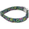 Country Brook Petz Premium Dog Collar - Paisley Collection - 4 of 4