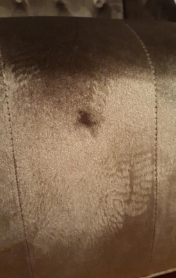 Guest review image 1 of 1, zoom in
