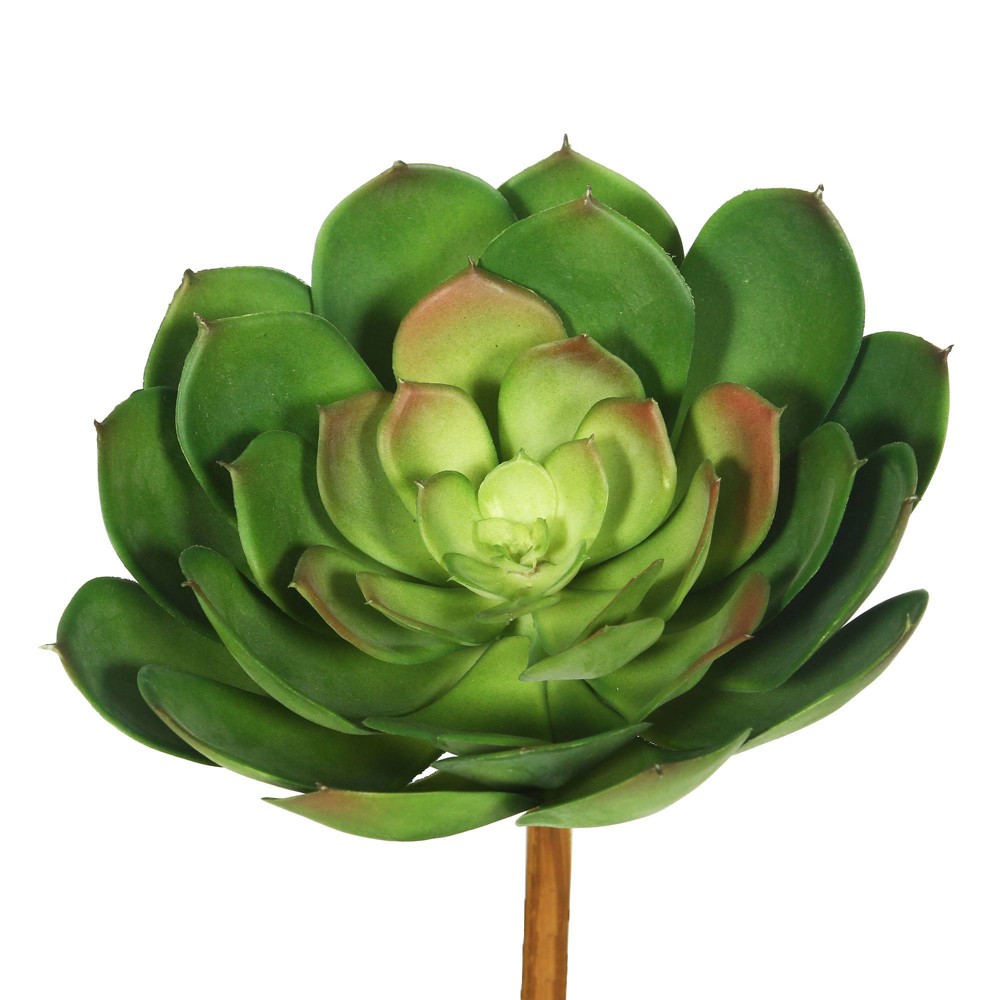 3 Bag 8" Artificial Cactus - Vickerman: Indoor Faux Cacti, Polyethylene, No Battery Required