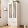 Hitow Modern Gray Armoire Set Frosted Glass Doors Woodgrain Finish Cream Style - 2 of 4