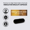 LIVS Men's Shilajit - 4 of 4