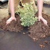 DeWitt Barrier Pro Landscape Fabric in Brown (3 Ounces), 4' x 300' Refill - 2 of 4