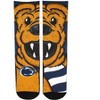 NCAA Penn State Nittany Lions - Mascot Rock 'Em Socks - 2 of 2