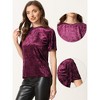 INSPIRE CHIC Women's Regular Fit Velvet Solid Round Neck Short Sleeve T-Shirt - 2 of 4