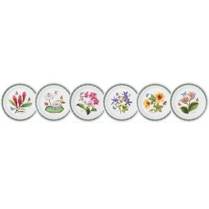 Portmeirion Exotic Botanic Garden Salad Plates, Set of 6, Fine Earthenware, Made in England - Assorted Motifs,8.5 Inch - 1 of 4