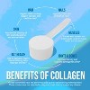 Root Vitality Collagen Powder, for Skin, Hair, Nails & Joints, Collagen Peptides, 20 Servings. - 4 of 4