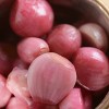Van Zyverden 25ct Allium Red Bulbs - 4 of 4