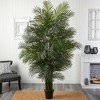 Nearly Natural 7.5-ft Areca Palm Tree UV Resistant (Indoor/Outdoor) - 4 of 4