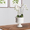 Plum & Post Mirabelle Decorative Pedestal Bowl Large - 2 of 4