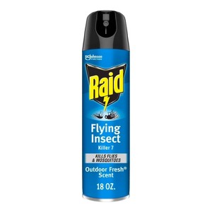 Raid Flying Insect Killer Outdoor Bug Spray - Fresh - 18oz - 1 of 4
