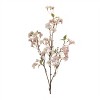 Blossom Floral Branch (Set of 4) - 2 of 3