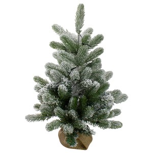Northlight B/O Frosted Pine Artificial Christmas Tree with Burlap - 2' - Warm White Lights - 1 of 4
