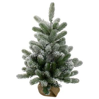 Northlight 2' B/O Potted Frosted Pine Medium Artificial Christmas Tree in a Burlap Pot- Warm White Lights