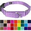 Country Brook Petz Heavy Duty Nylon Martingale Dog Collar with Deluxe Buckle - 30+ Vibrant Color Options - 2 of 4