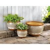 Zingz Home Earth-Tone Trim Planter Set/3 - 3 of 3