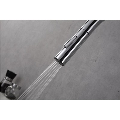 Chrome and Satin Brass Pull Down Single Handle Kitchen Faucet