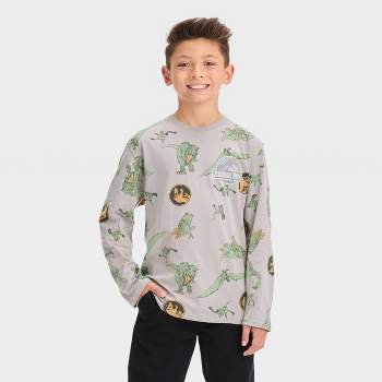 Boys' Jurassic Park Long Sleeve Graphic T-Shirt - Gray