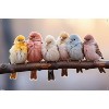 Trends International Reinders: Animals - Pastel Birds Unframed Wall Poster Print Clear Push Pins Bundle 22.375" x 34" - 4 of 4