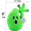 Attatoy Gallbladder Plush Stuffed Toy; Body Organ Toy Complete w/ Gallstones - 3 of 4