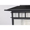 Nuvo Lighting Cove Neck 1 - Light Lantern in  Textured Black - 3 of 4