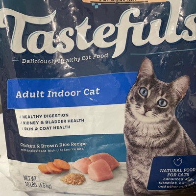 Blue indoor health cat food clearance reviews