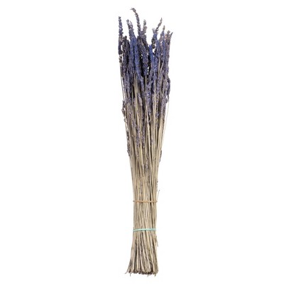 Vickerman 12-18" Lavender Lavender, preserved