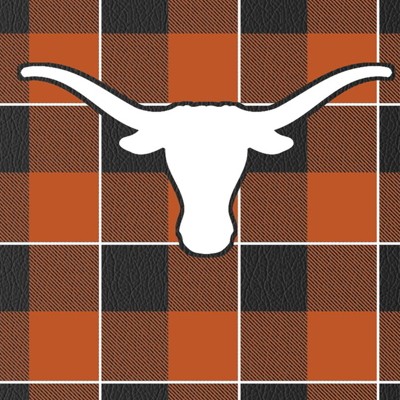 texas longhorns
