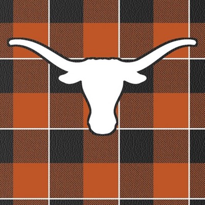 texas longhorns