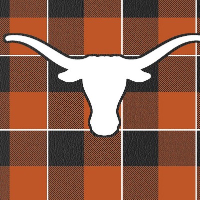texas longhorns