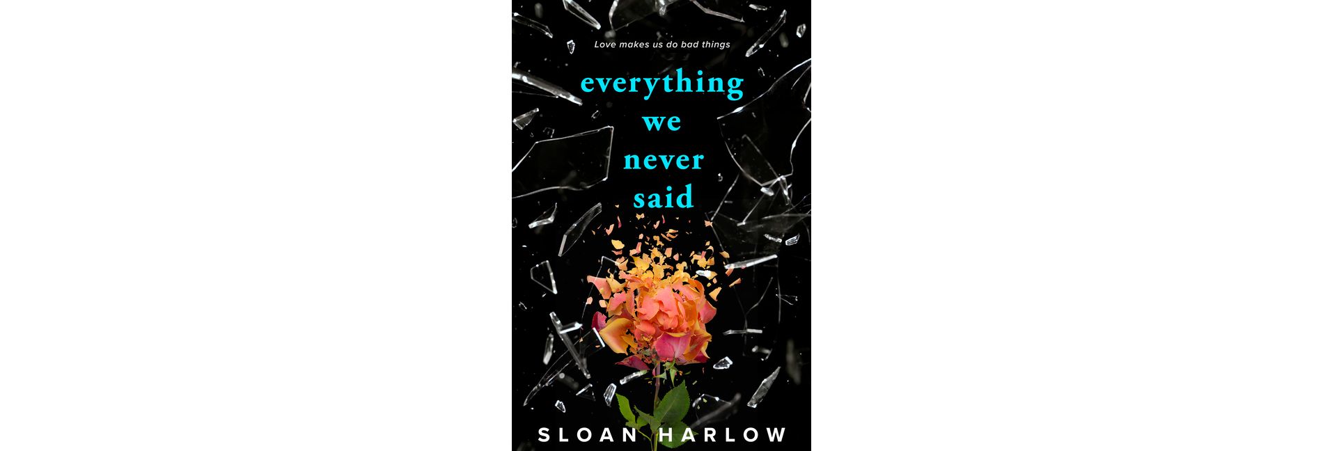 Everything We Never Said - by  Sloan Harlow (Paperback)