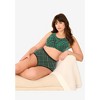 Comfort Choice Women's Plus Size Cotton Brief 5-Pack - 3 of 4