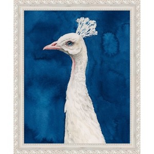 Amanti Art Snowy Peacock II by Grace Popp Wood Framed Wall Art Print - 1 of 4