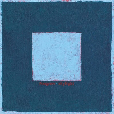 Pinegrove - Skylight (CD)