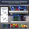 RAPSUAR 23.4 in. 4.9 cu.ft. Double Drawer Fridge Weatherproof Outdoor Beverage Cooler in Stainless Steel - 3 of 4