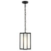 Hyla 8" Outdoor Pendant - PLT4024 - Black - Safavieh - 2 of 4